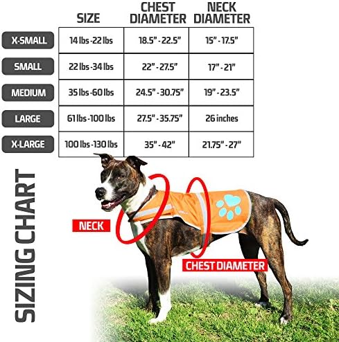 SafetyPUP XD - Отразяваща жилетка за кучета. Флуоресцентно ярко оранжева жилетка за кучета с повишена видимост помага да защитите