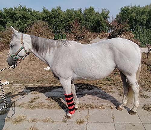 Ankaier Horse Ice Boot - Охлаждащ Ледена обувки за краката / Обвиване на тялото, за да се грижа за конете - на Коляното на коня,